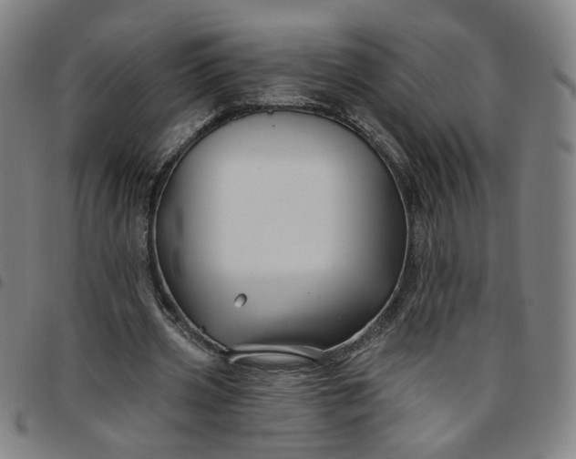 X0000097510533200803071827