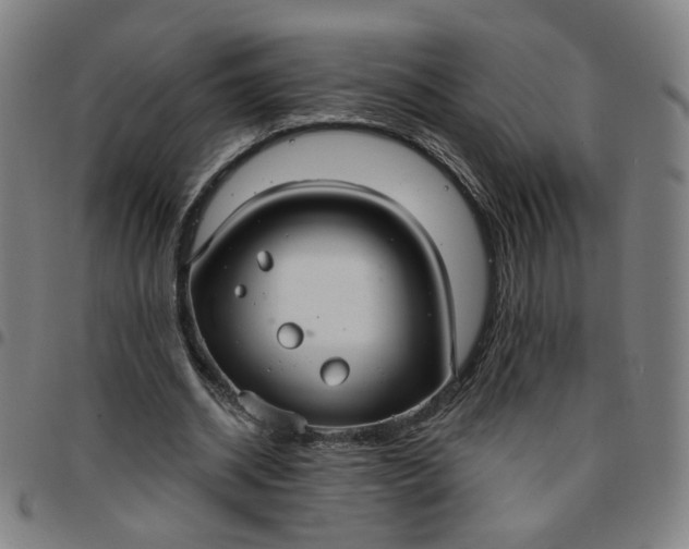 X0000097510534200803071827