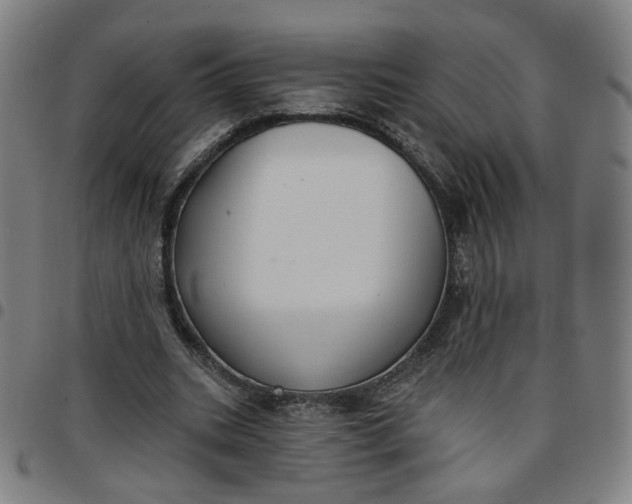 X0000097510535200803071827