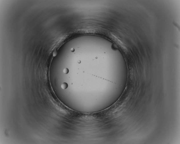 X0000097510537200803071827