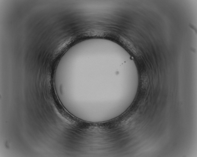 X0000097510538200803071827