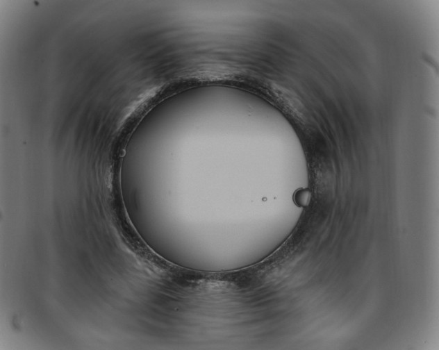 X0000097510539200803071827