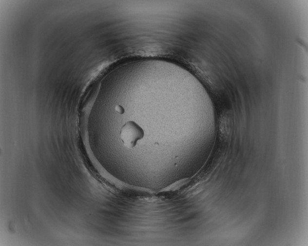 X0000097510540200803071827