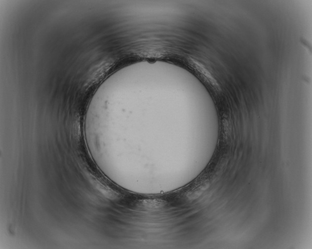 X0000097510541200803071827