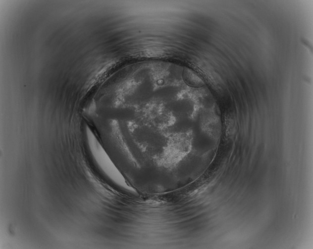 X0000097510542200803071827