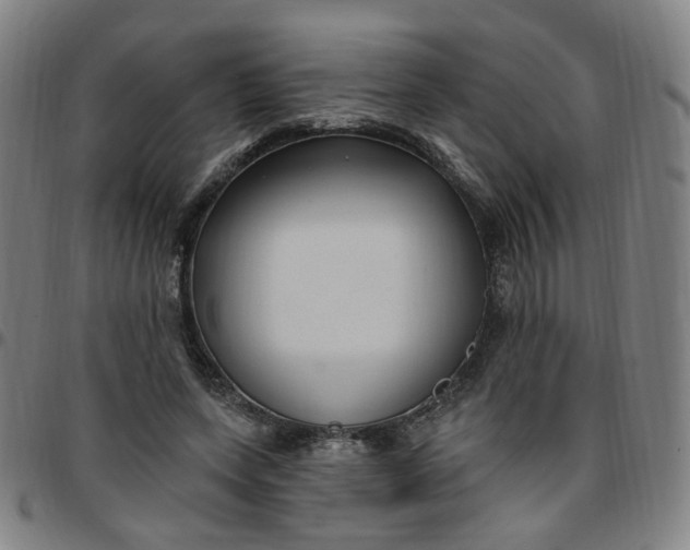 X0000097510543200803071827