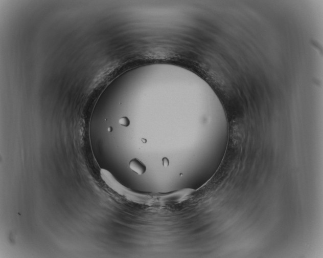 X0000097510544200803071827