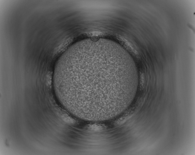 X0000097510545200803071827