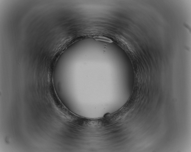 X0000097510546200803071827