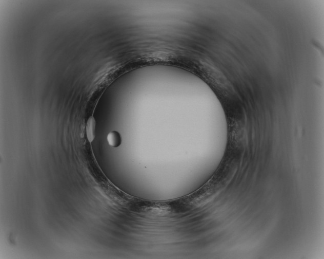 X0000097510548200803071827