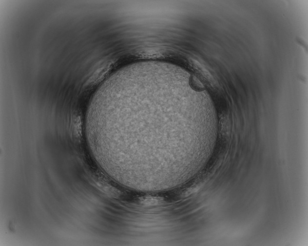 X0000097510549200803071827