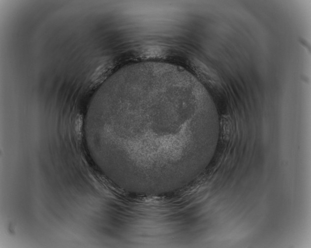 X0000097510550200803071827