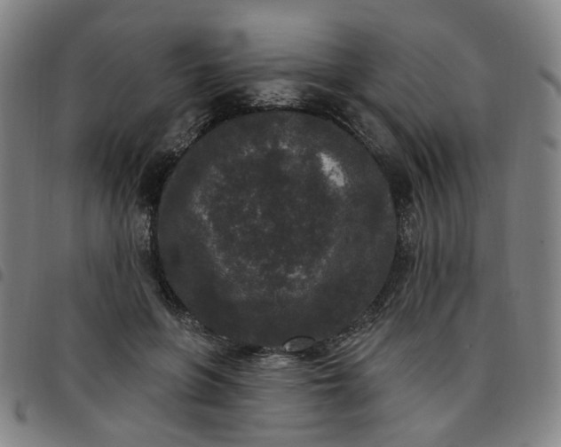 X0000097510551200803071827