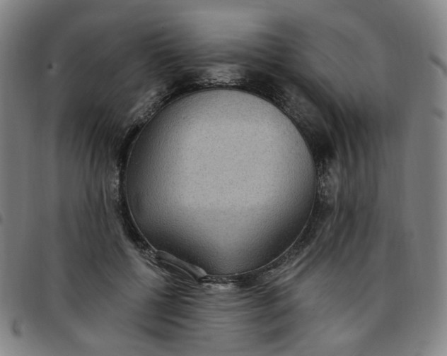 X0000097510552200803071827