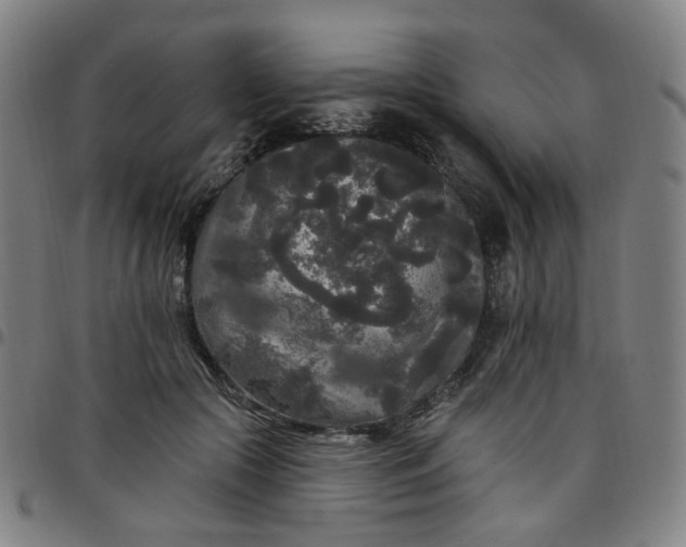 X0000097510553200803071827