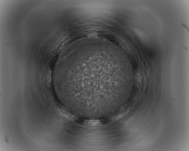 X0000097510554200803071827