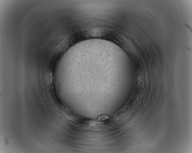 X0000097510555200803071827