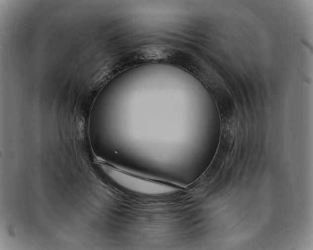 X0000097510556200803071827