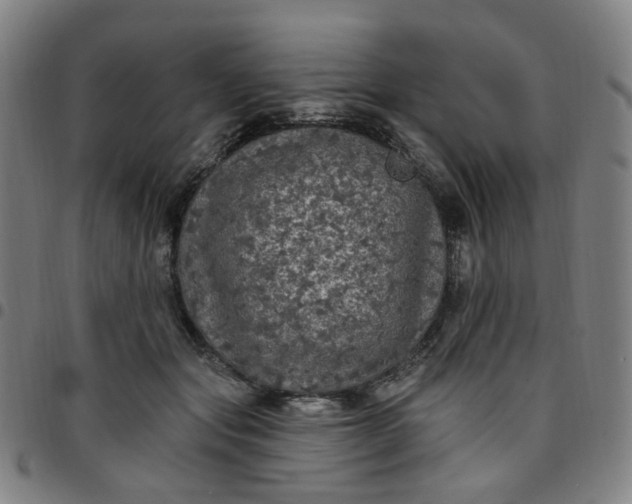 X0000097510557200803071827