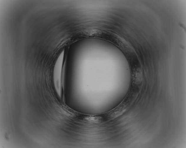 X0000097510558200803071827