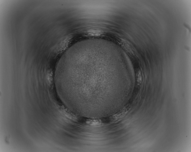 X0000097510559200803071827