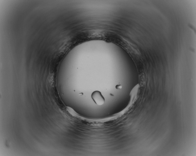 X0000097510560200803071827