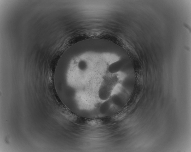 X0000097510561200803071827