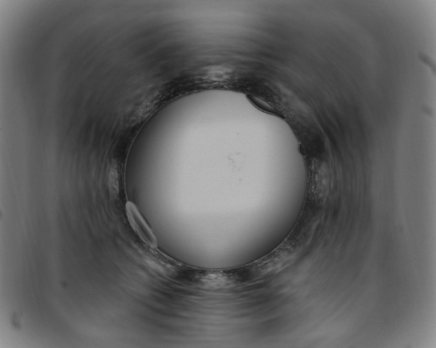 X0000097510562200803071827