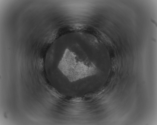 X0000097510563200803071827