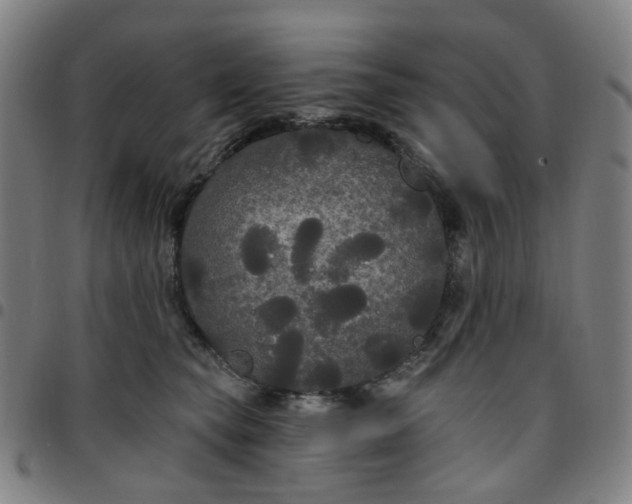 X0000097510565200803071827