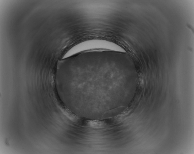 X0000097510568200803071827