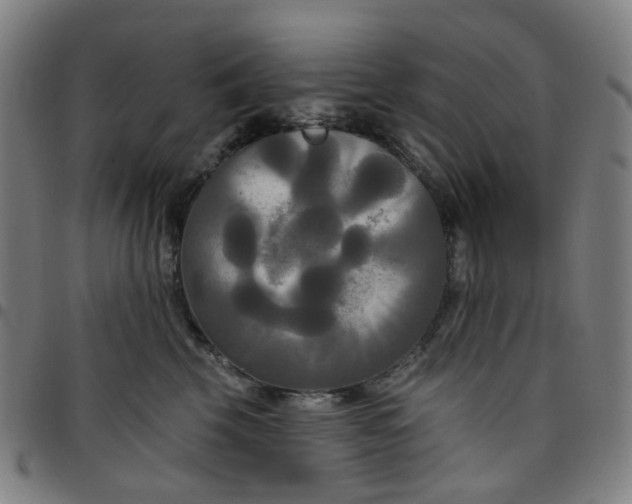 X0000097510569200803071827