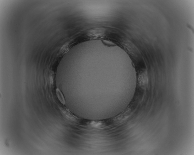 X0000097510570200803071827