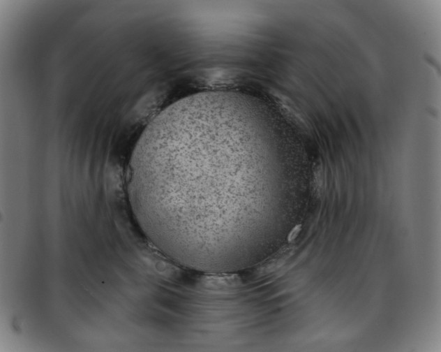 X0000097510571200803071827