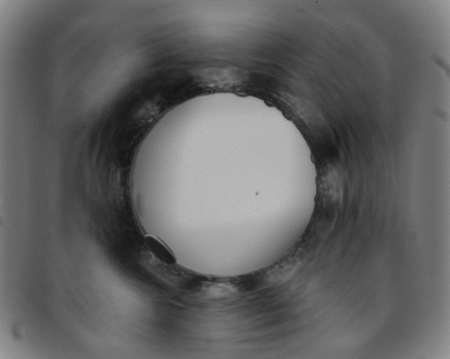 X0000097510572200803071827