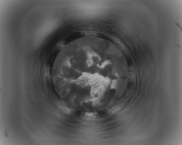 X0000097510573200803071827