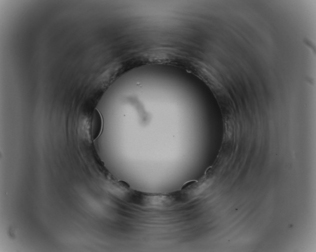 X0000097510575200803071827