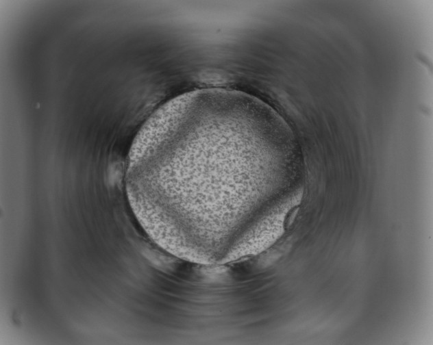 X0000097510576200803071827