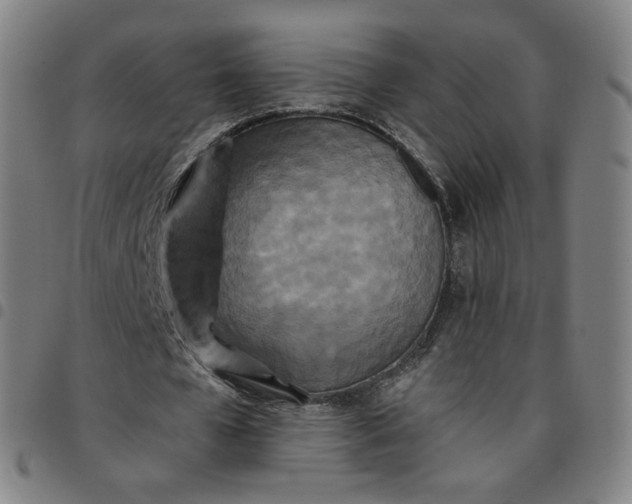 X0000097510577200803071826