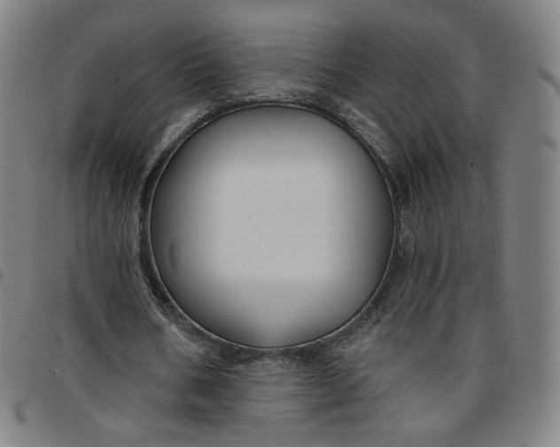 X0000097510578200803071826