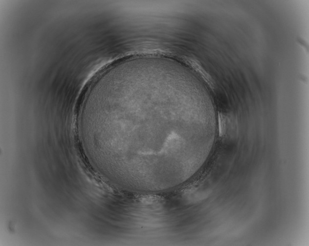 X0000097510579200803071826