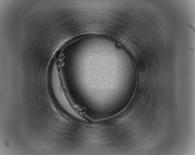 X0000097510580200803071826