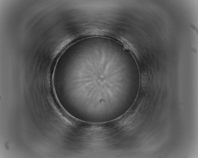 X0000097510581200803071826