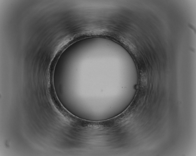 X0000097510582200803071826