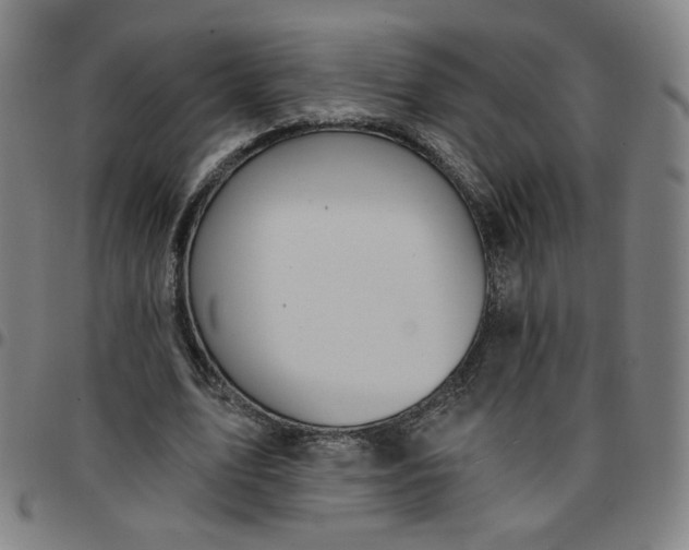 X0000097510583200803071826