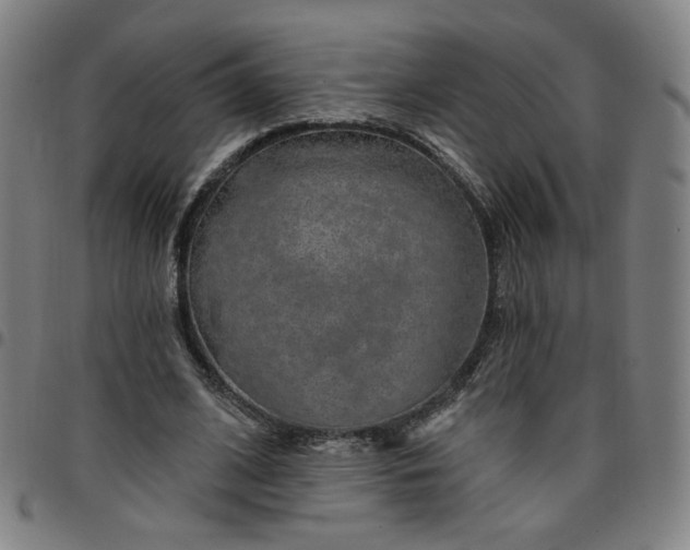 X0000097510584200803071826