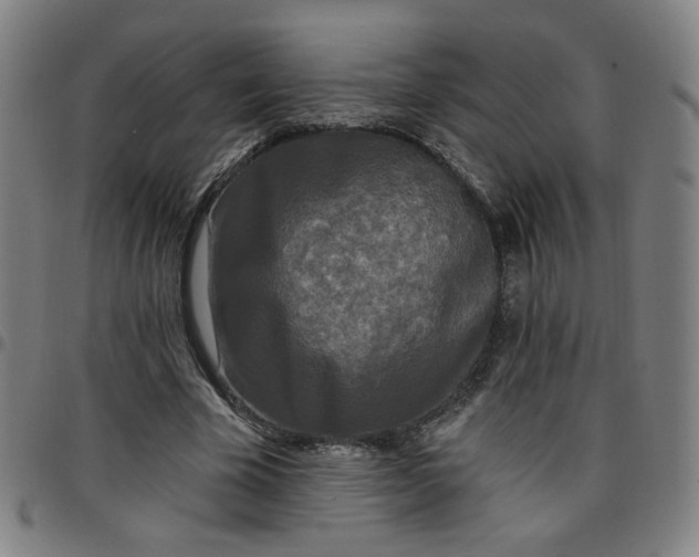 X0000097510585200803071826