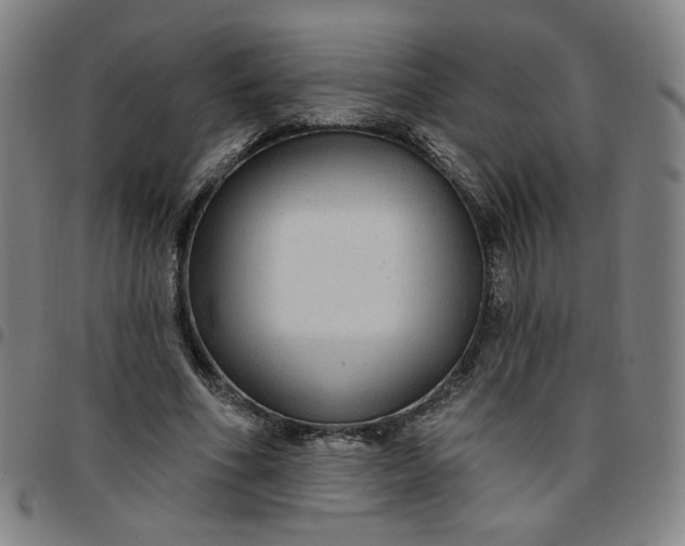 X0000097510586200803071826