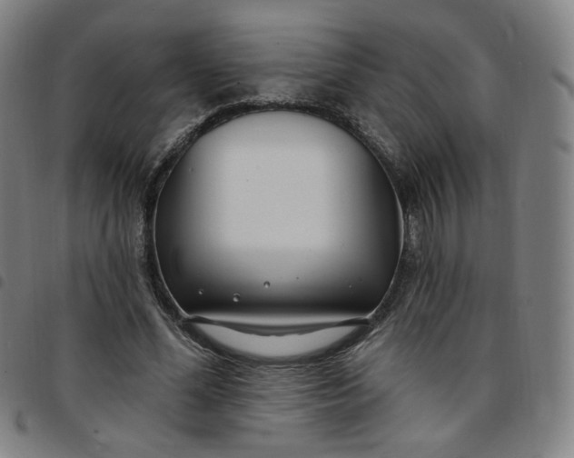 X0000097510588200803071826