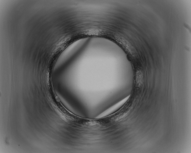 X0000097510589200803071826